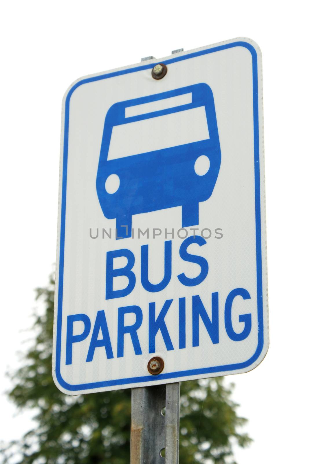 Bus Parking Sign by AlphaBaby