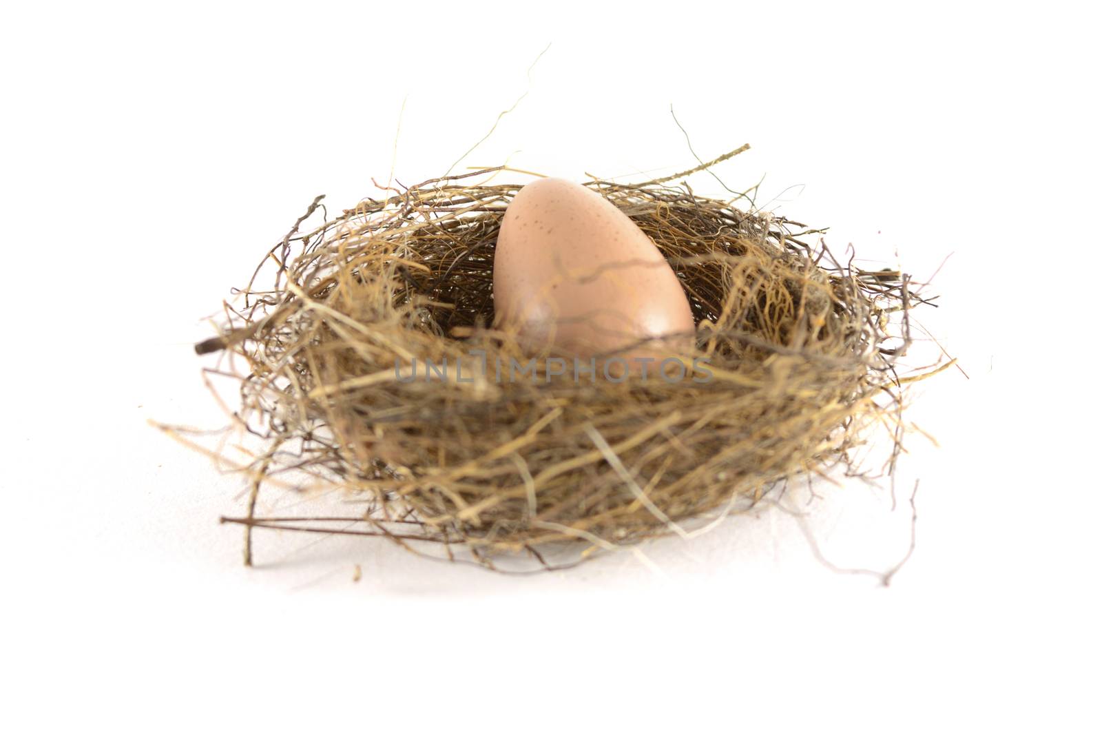 An isolated birds nest with an egg over a white background.
