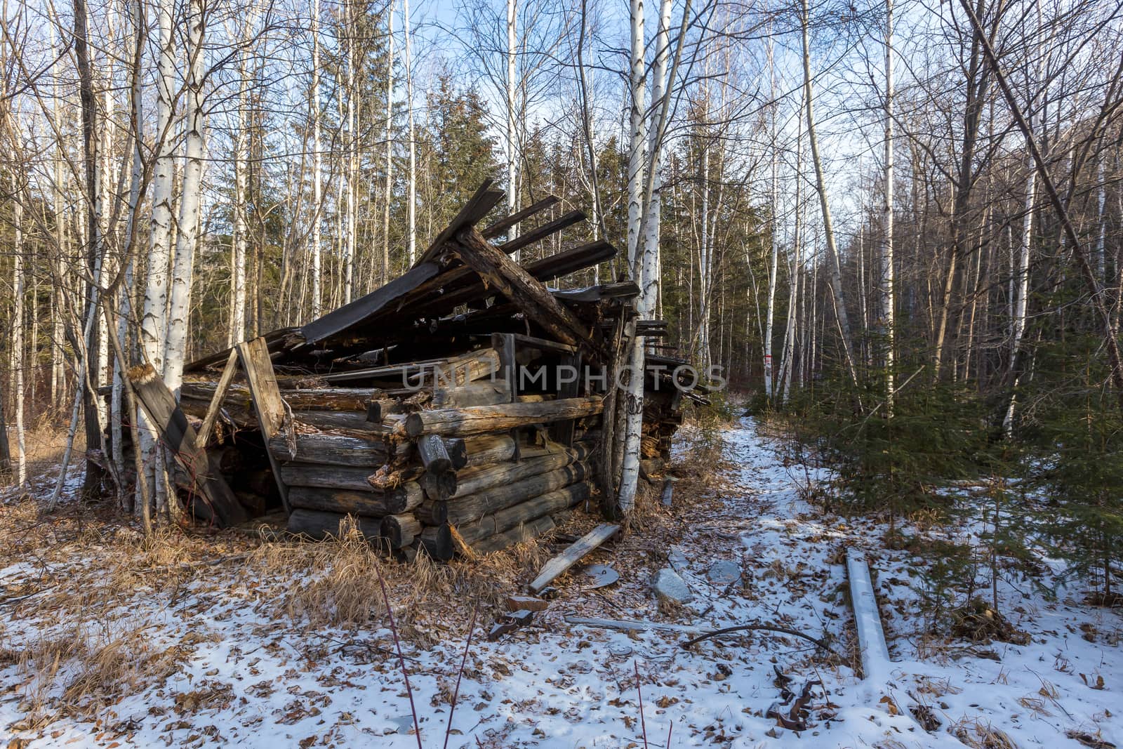 A ruined hut stands among the Russian taiga