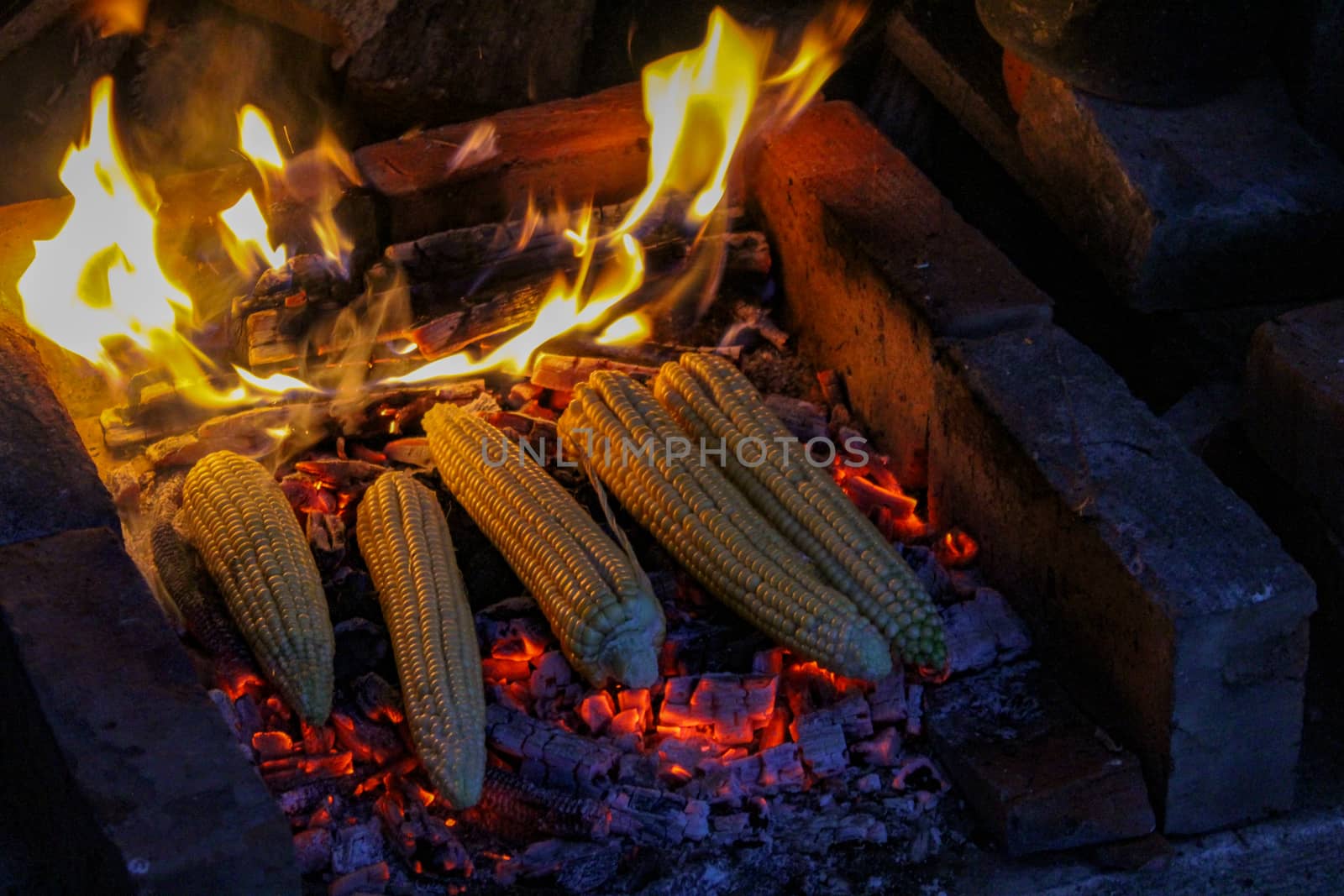 Five corns. Freshly harvested corn is grilled with a little fire and smoke in the background. Traditional way of roasting corn in Bosnia. Zavidovici, Bosnia and Herzegovina.