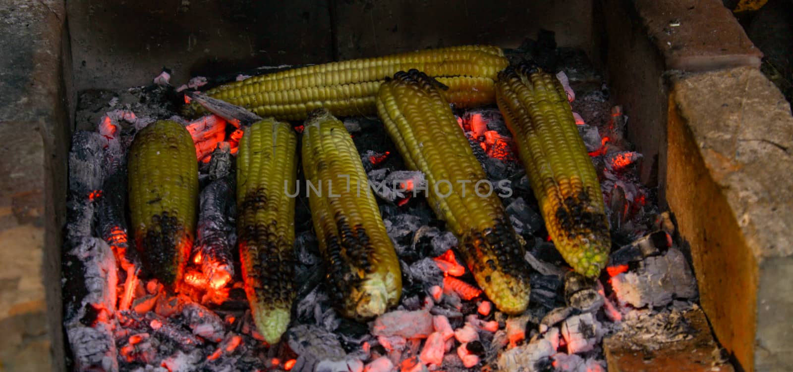 Burnt corn on the cob. Roasting corn on the cob at night on summer days. Summer nights by the fire. by mahirrov