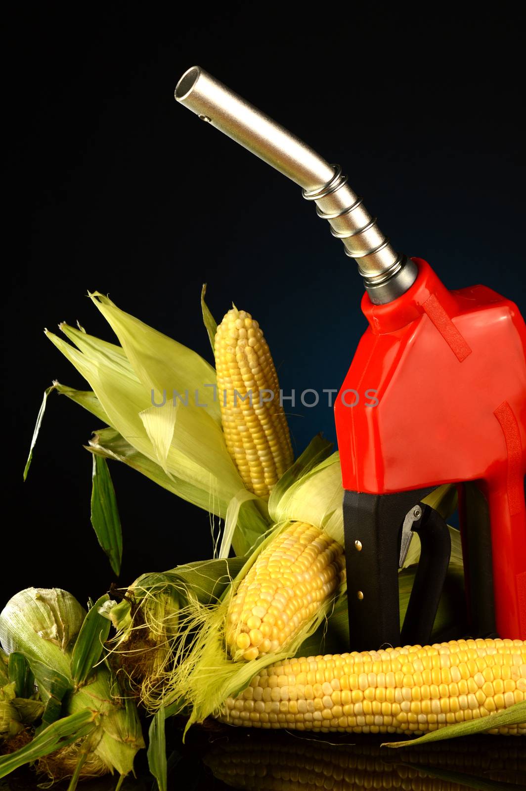 A corn based fuel concept with a gas pump and gradient background.