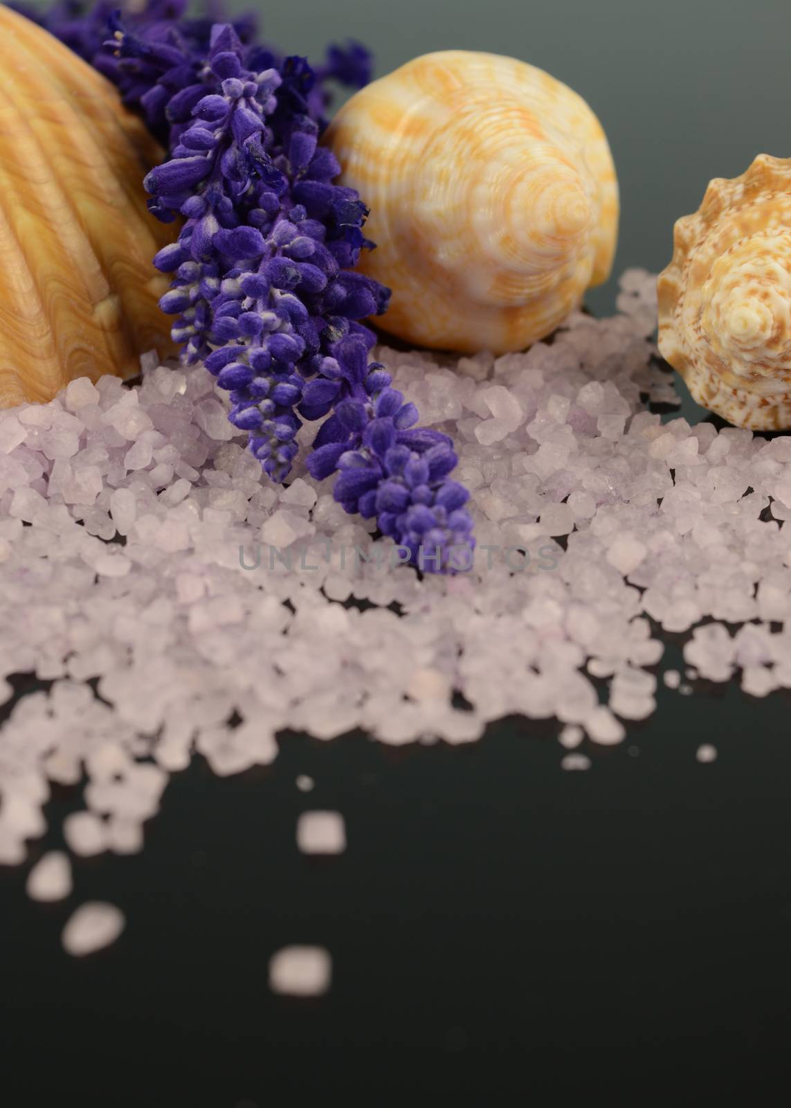 Lavender bath salts with seashells to compliament the spa scene.
