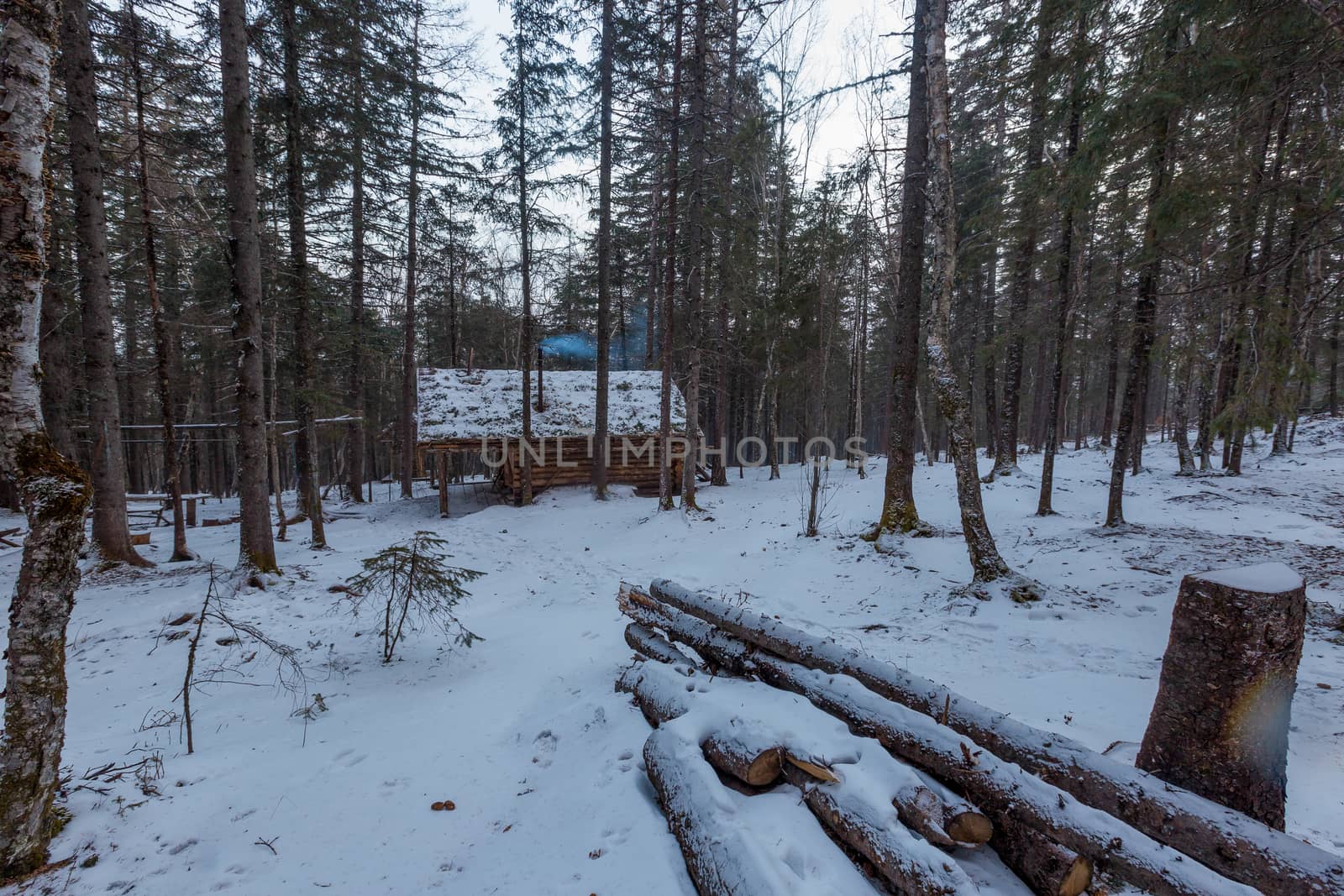 The pristine nature of the Zeya reserve. A wooden winter hut stands among the taiga