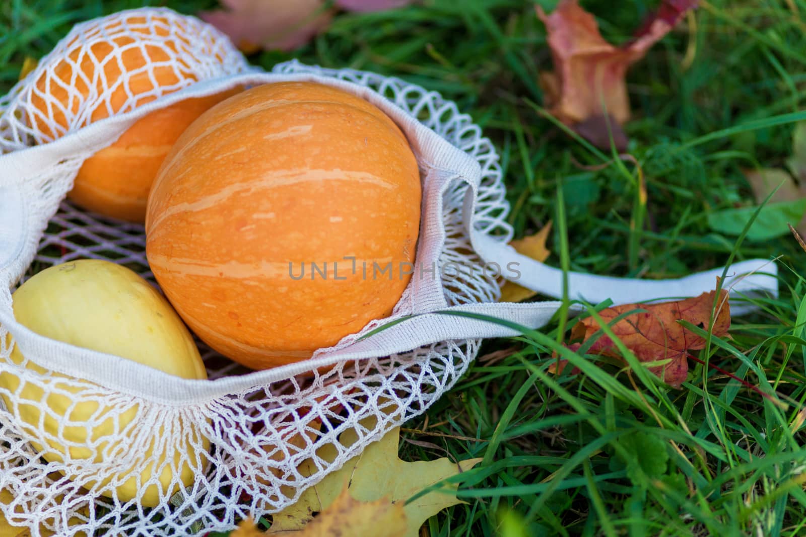 Pumpkins in reusable shopping eco-frendly mesh bag on autumn fallen leaves background.