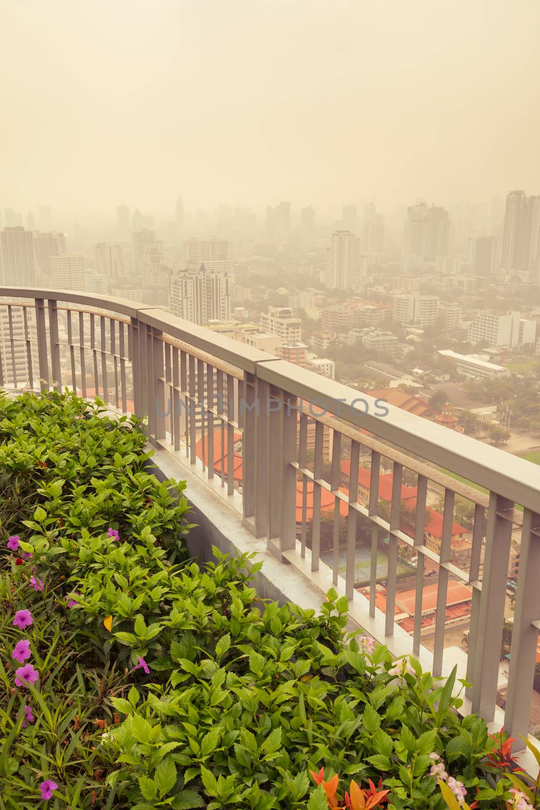 bush and fence in garden on rooftop of high-rise building in poor weather, haze of pollution covers city, global warming concept(2)