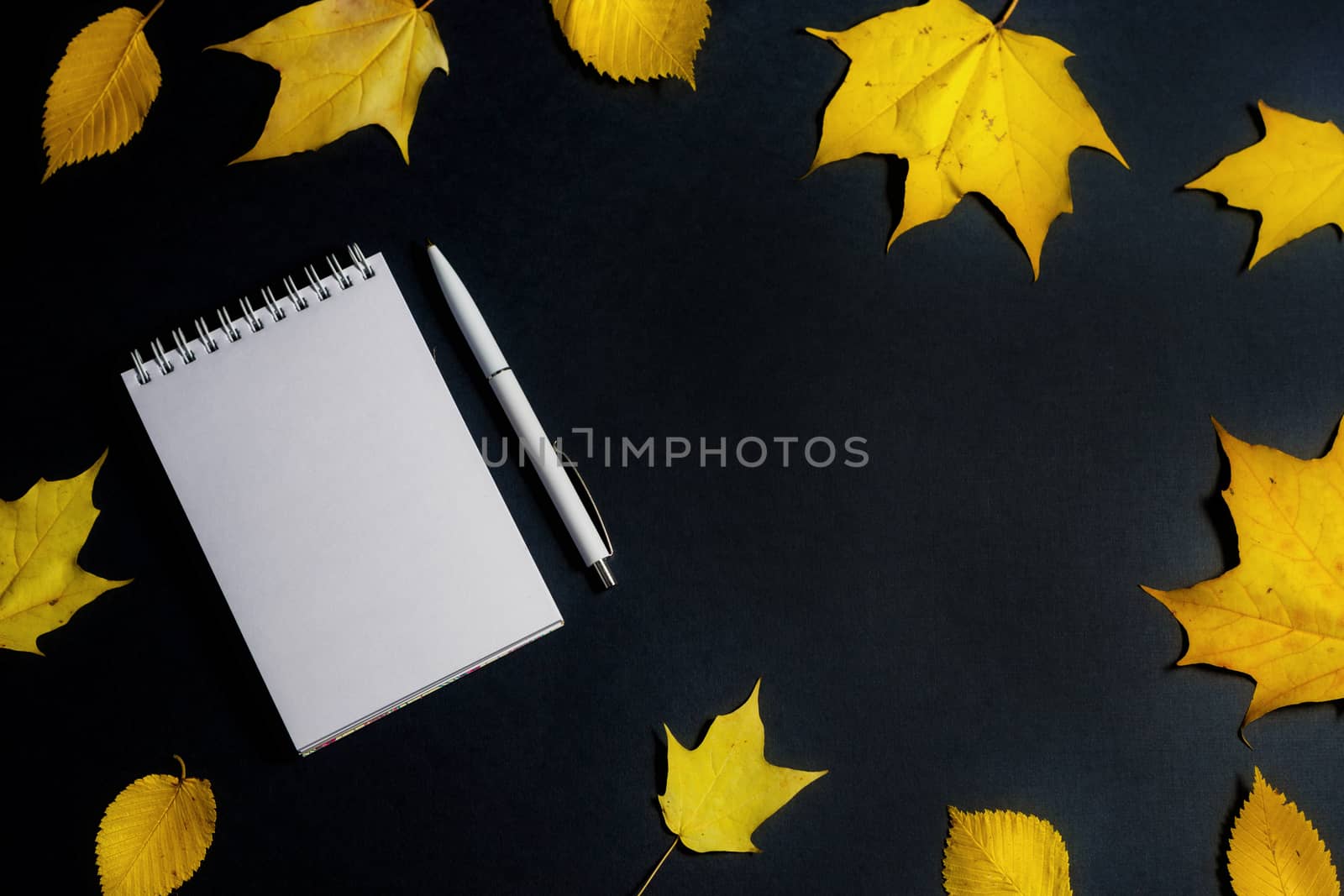 .Autumn fallen foliage and notebook on black background