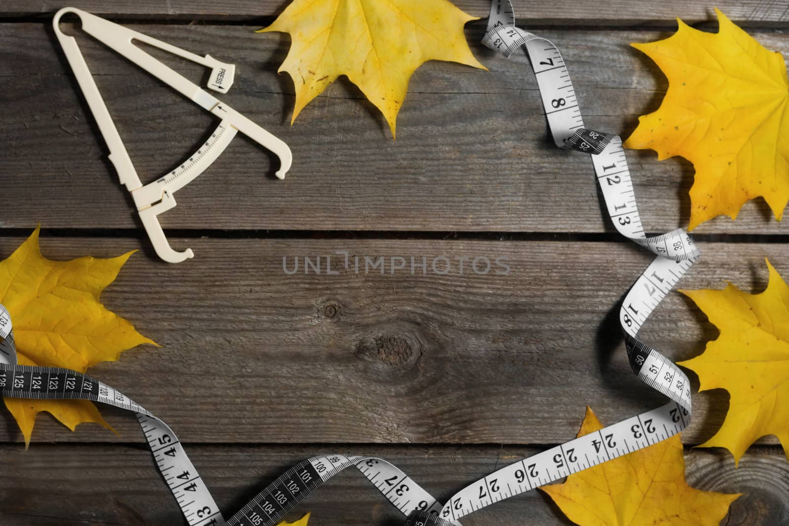 Autumn fallen leaves, measuring tape and caliper on wooden background