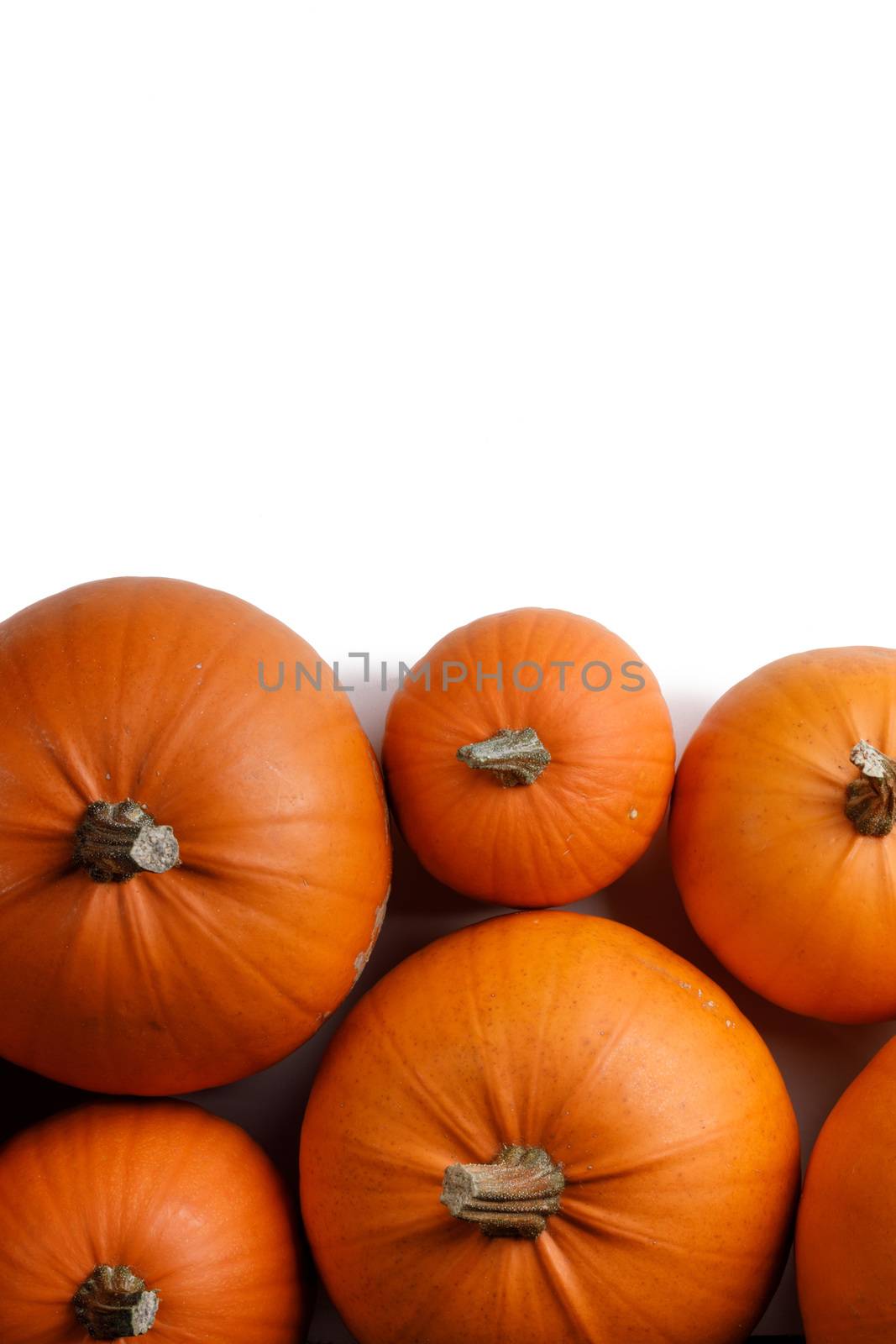Heap of many orange pumpkins on white background , Halloween concept , copy space for text