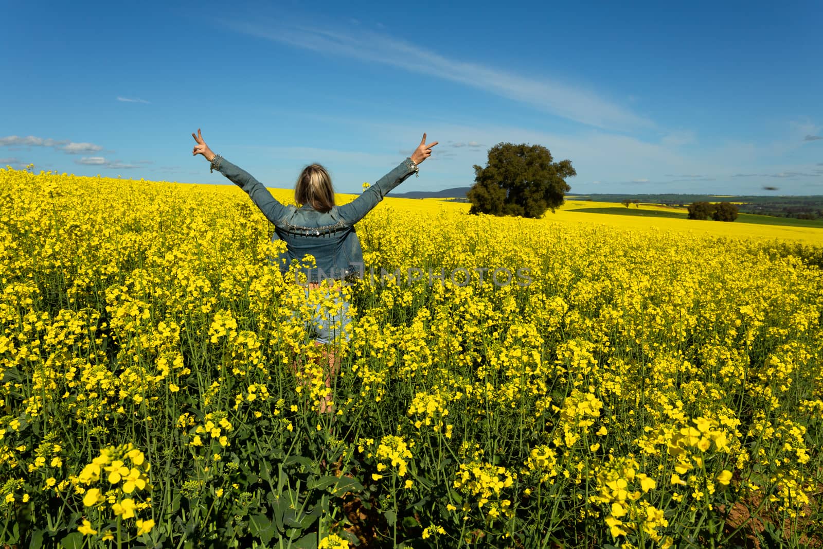 Excuted farm girl in bumper crop of canola by lovleah