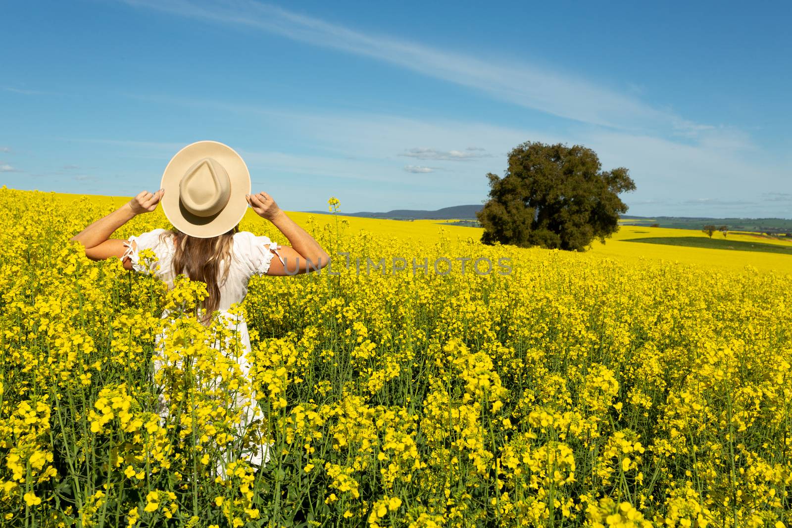 Woman in white dress in field of golden canola by lovleah