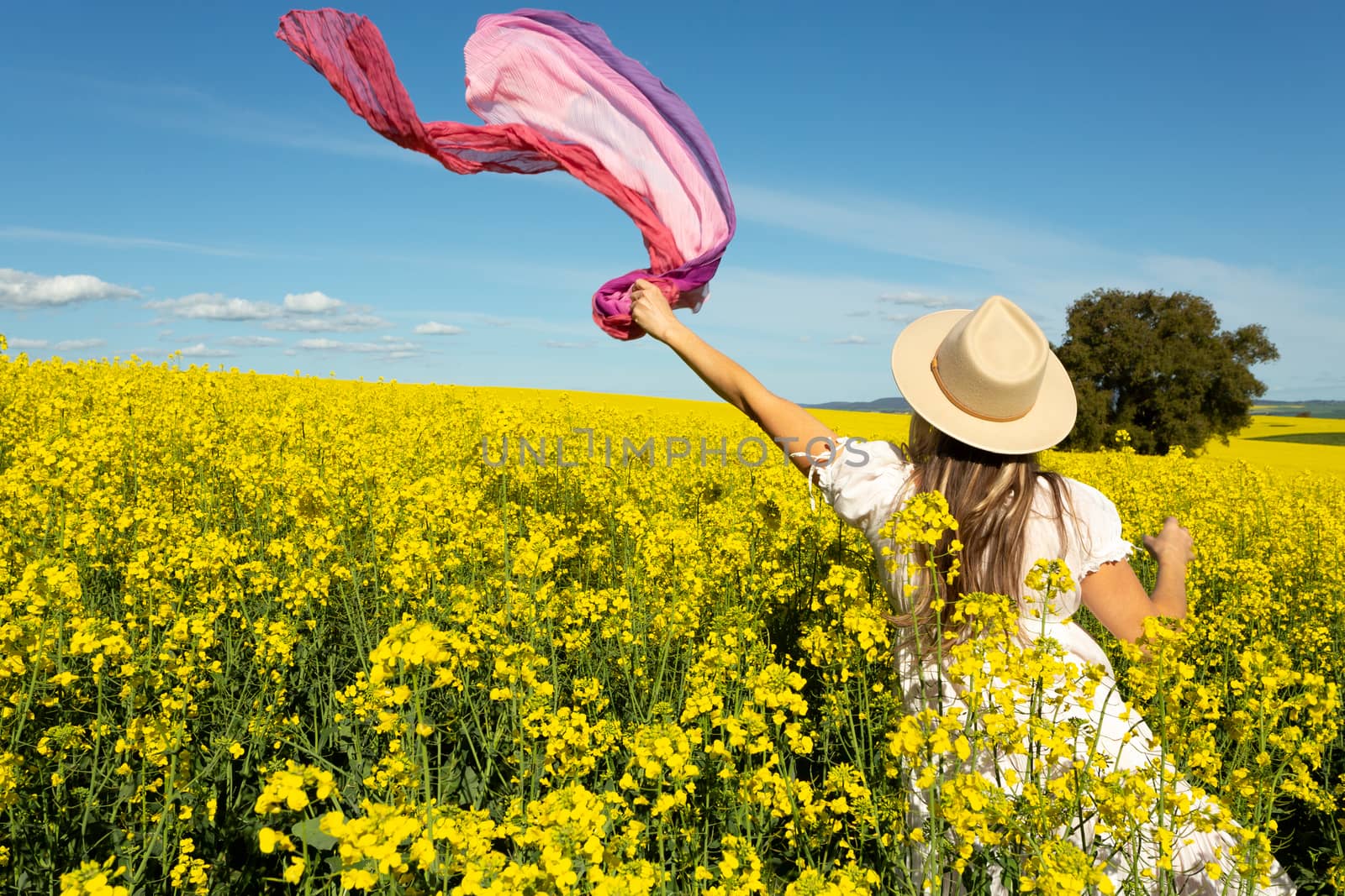 Woman in whte dress and floating scarf in canola field by lovleah