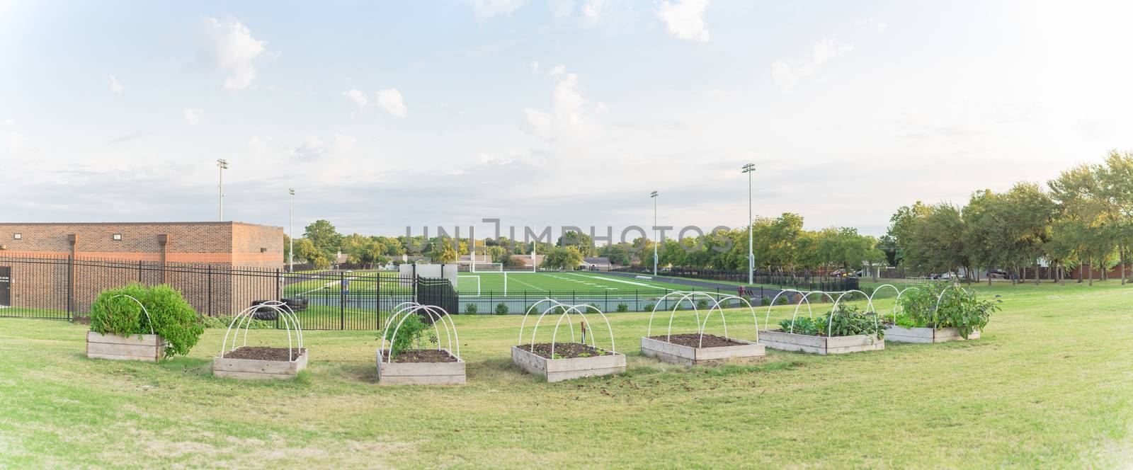 Panoramic row of raised bed garden and football field in background at elementary school in USA by trongnguyen