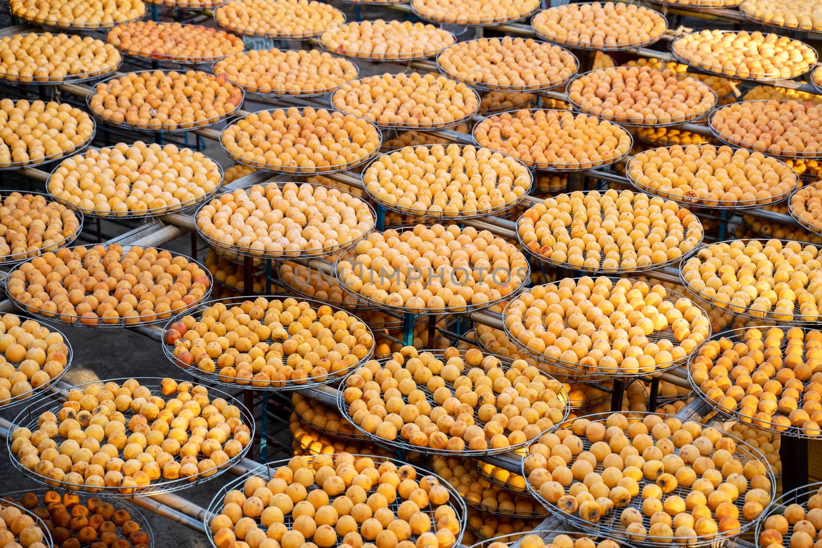 Making process of sun exposuring drying peeled dried persimmon in a sieve, autumn preserved food concept.