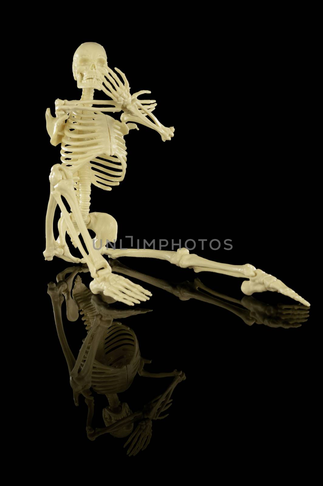 An isolated over black reflective background image of a whole human skeleton body.