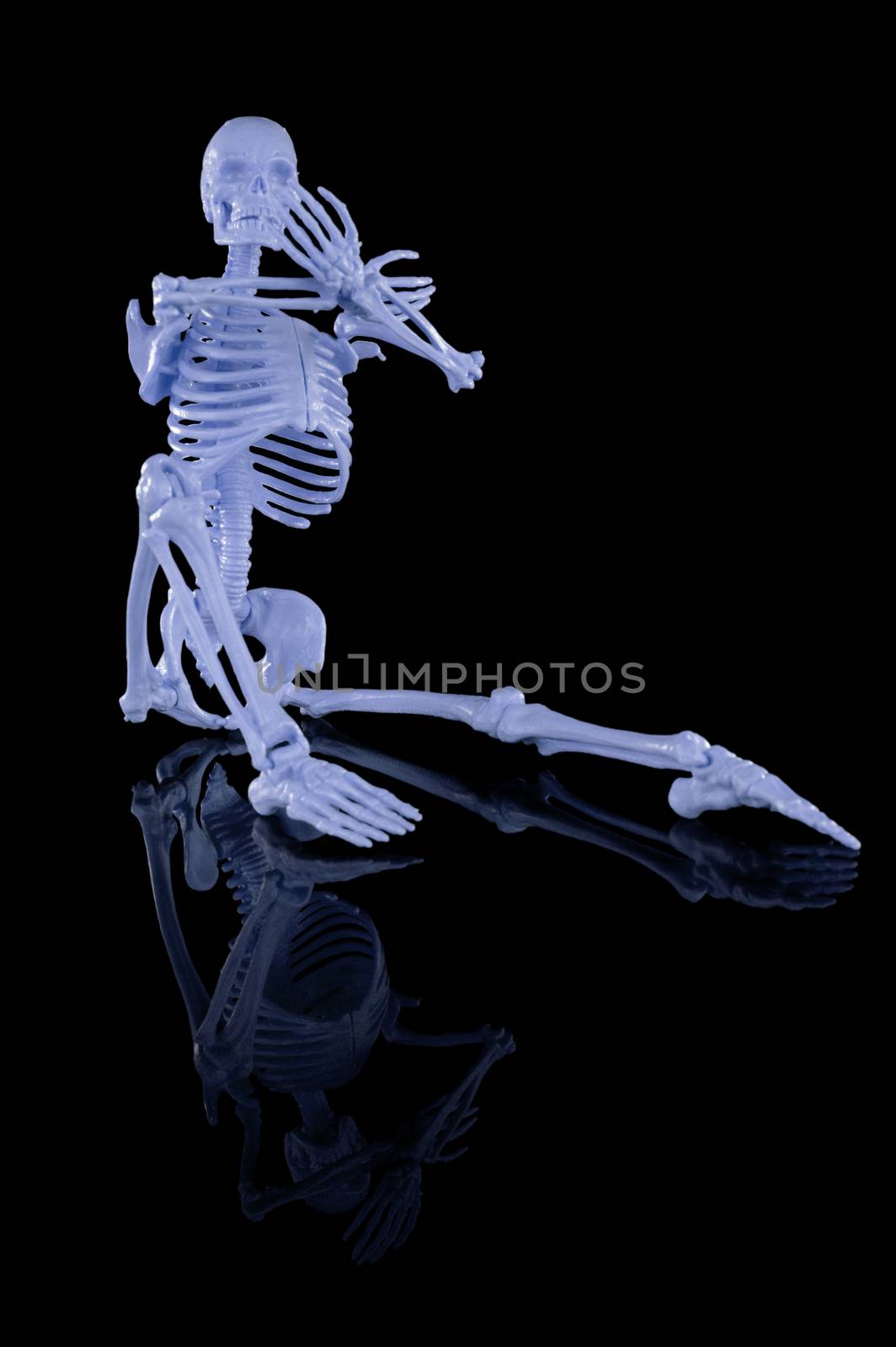 An isolated over black reflective background image of a whole human skeleton body with a blue hue adjustment.