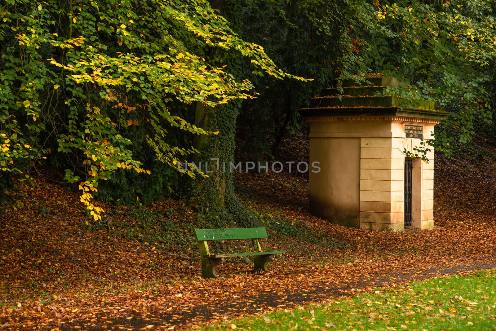 Empty chair at Park Stromovka in Prague 6 under a tree in Autumn season