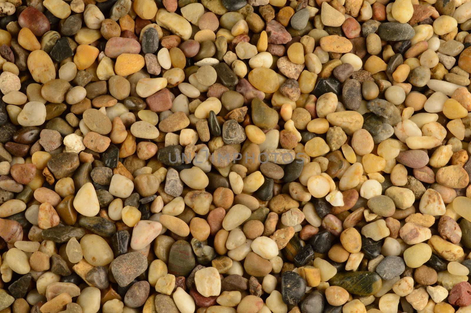 A closeup full frame view of some evenly lit washed clean river stones that are used as a landscaping material for footpaths and flowerbeds.