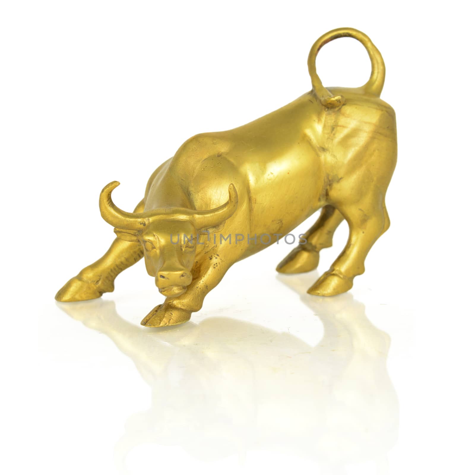 An isolated golden bull statue over a white reflective surface.