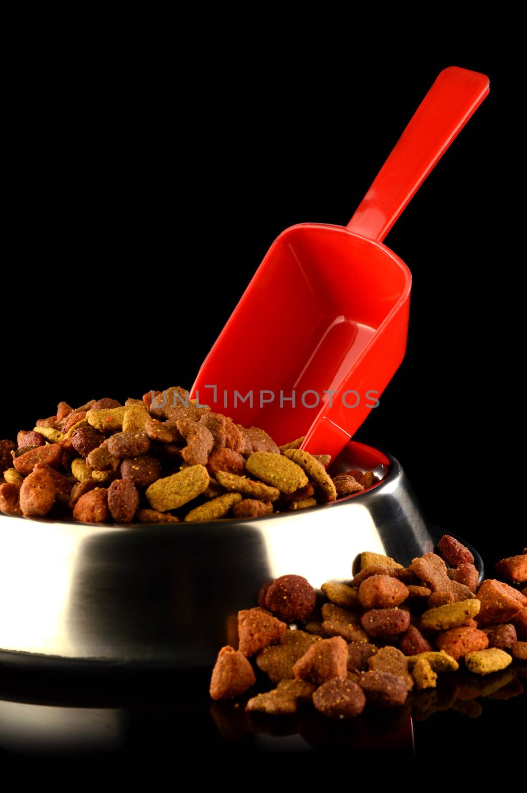 A vertical composition of a red scoop filling a chrome dog dish full of food for the beloved pet.