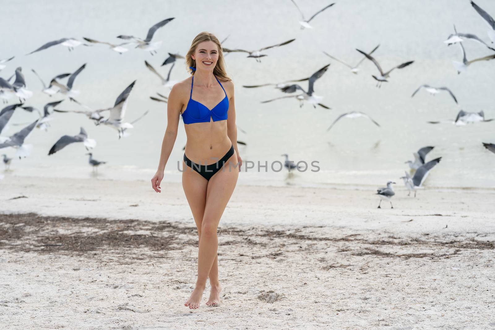 A beautiful blonde bikini model enjoys the weather outdoors on the beach while chasing seagulls