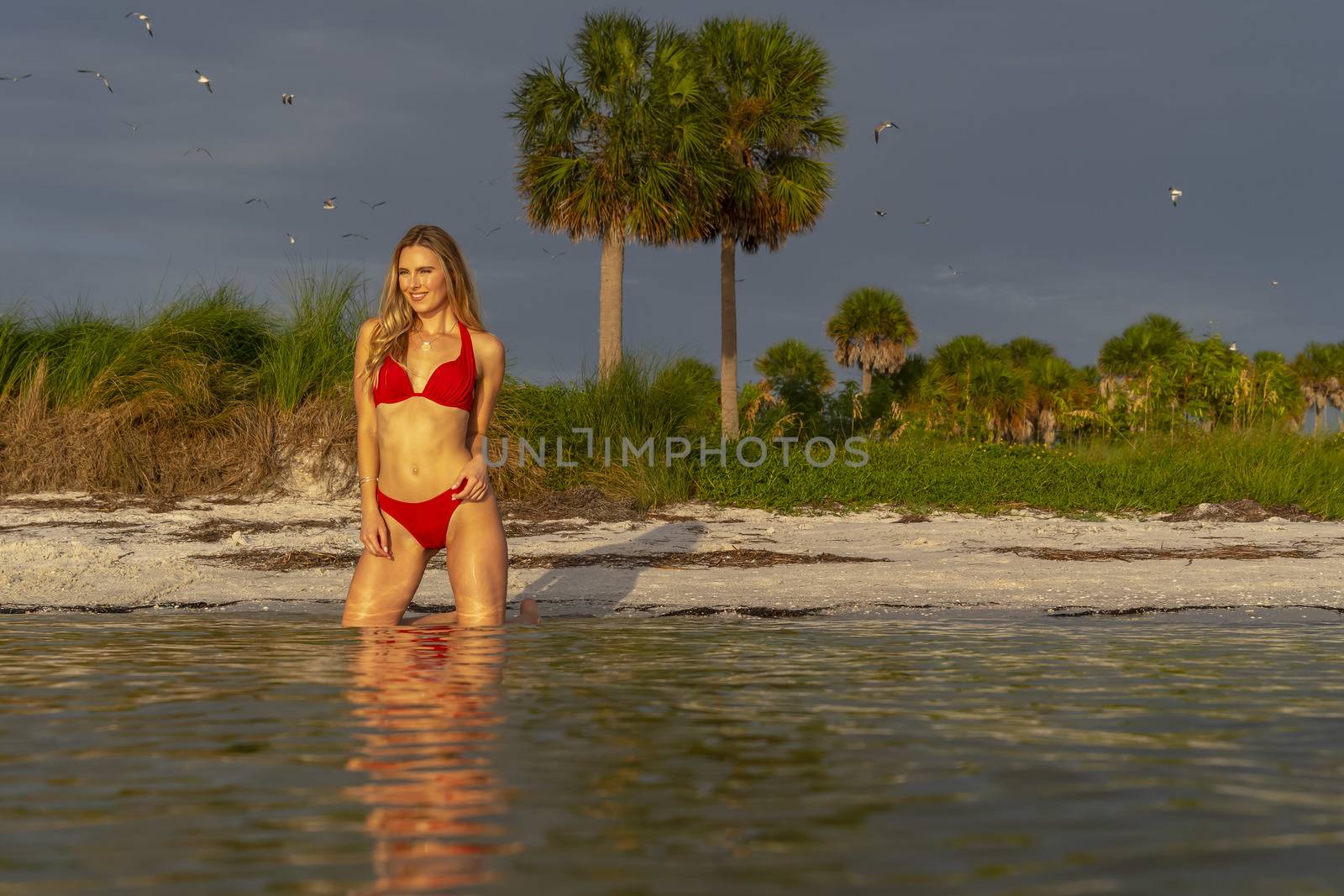 A beautiful blonde bikini model enjoys the weather outdoors on the beach