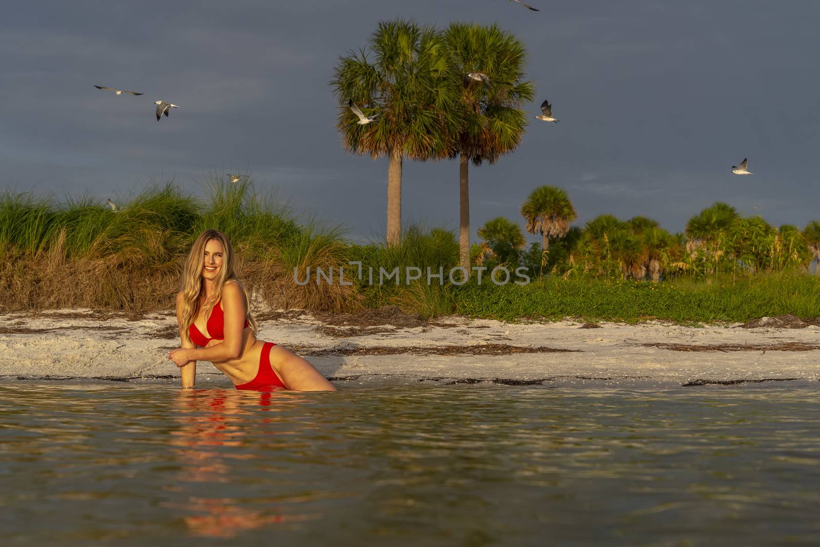 A beautiful blonde bikini model enjoys the weather outdoors on the beach