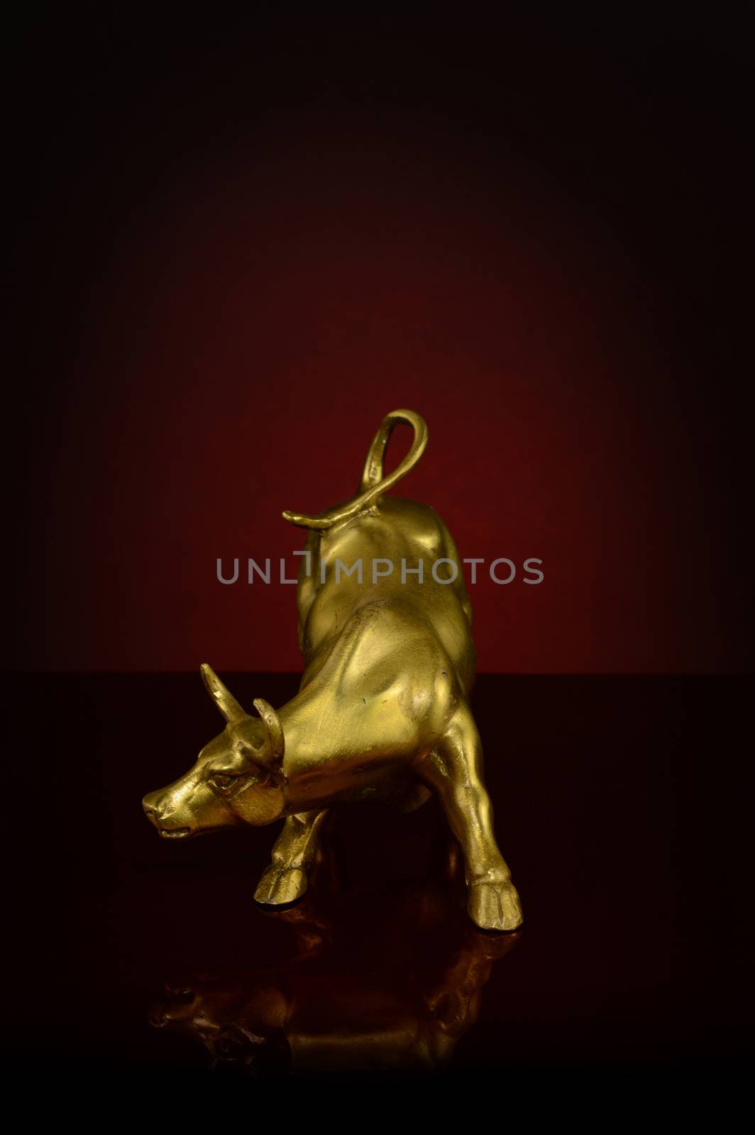 A closeup view of a strong brass bull over a dark gradient to showcase strength and endurance.