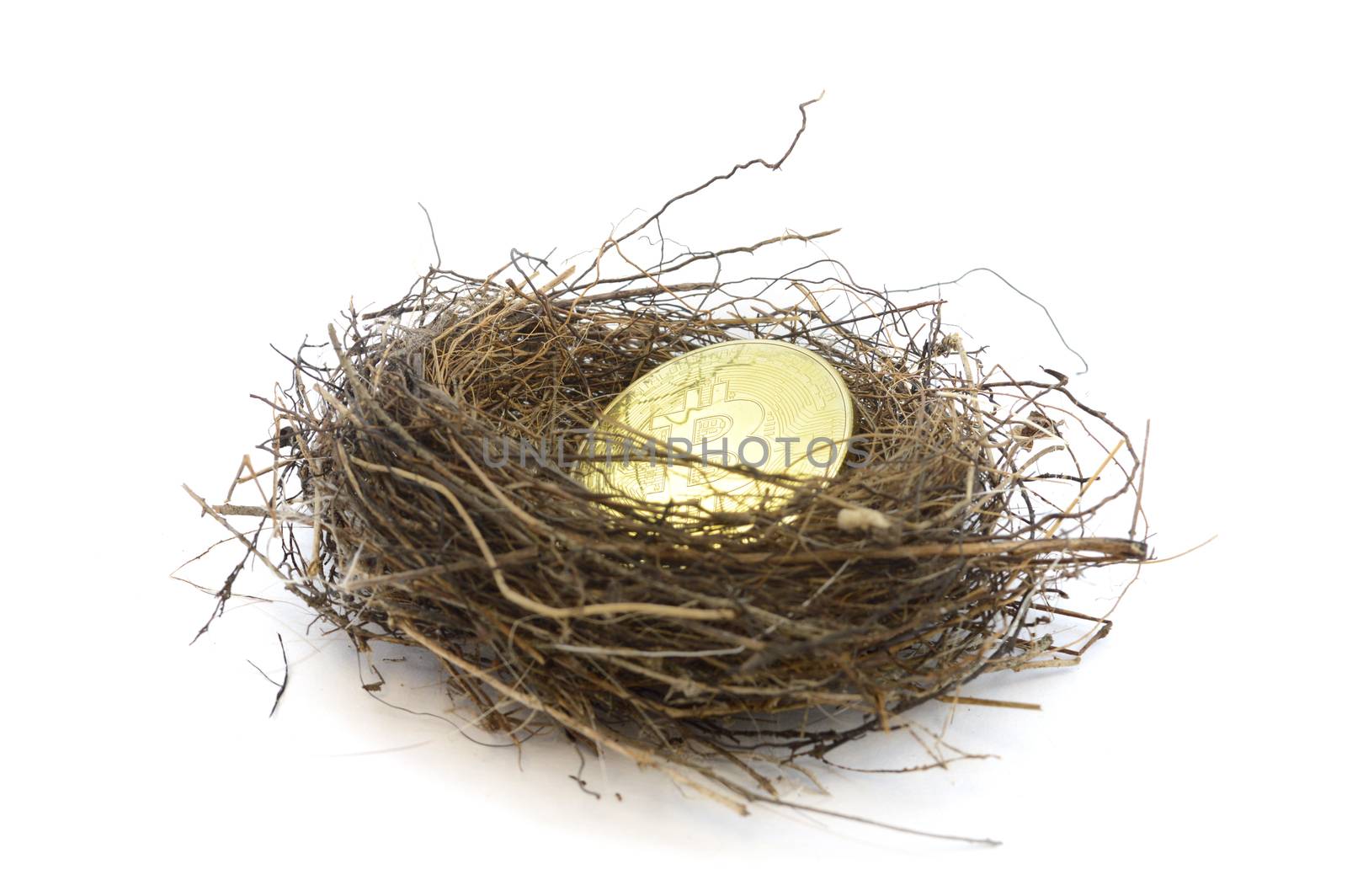 A concept based on longterm investments of the cryptocurrency Bitcoin utilizing a birds nest and golden coin over a white background.