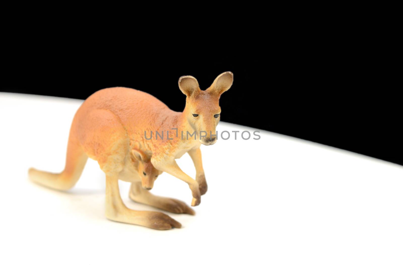A closeup image of a kangaroo and joey hopping along the white path.