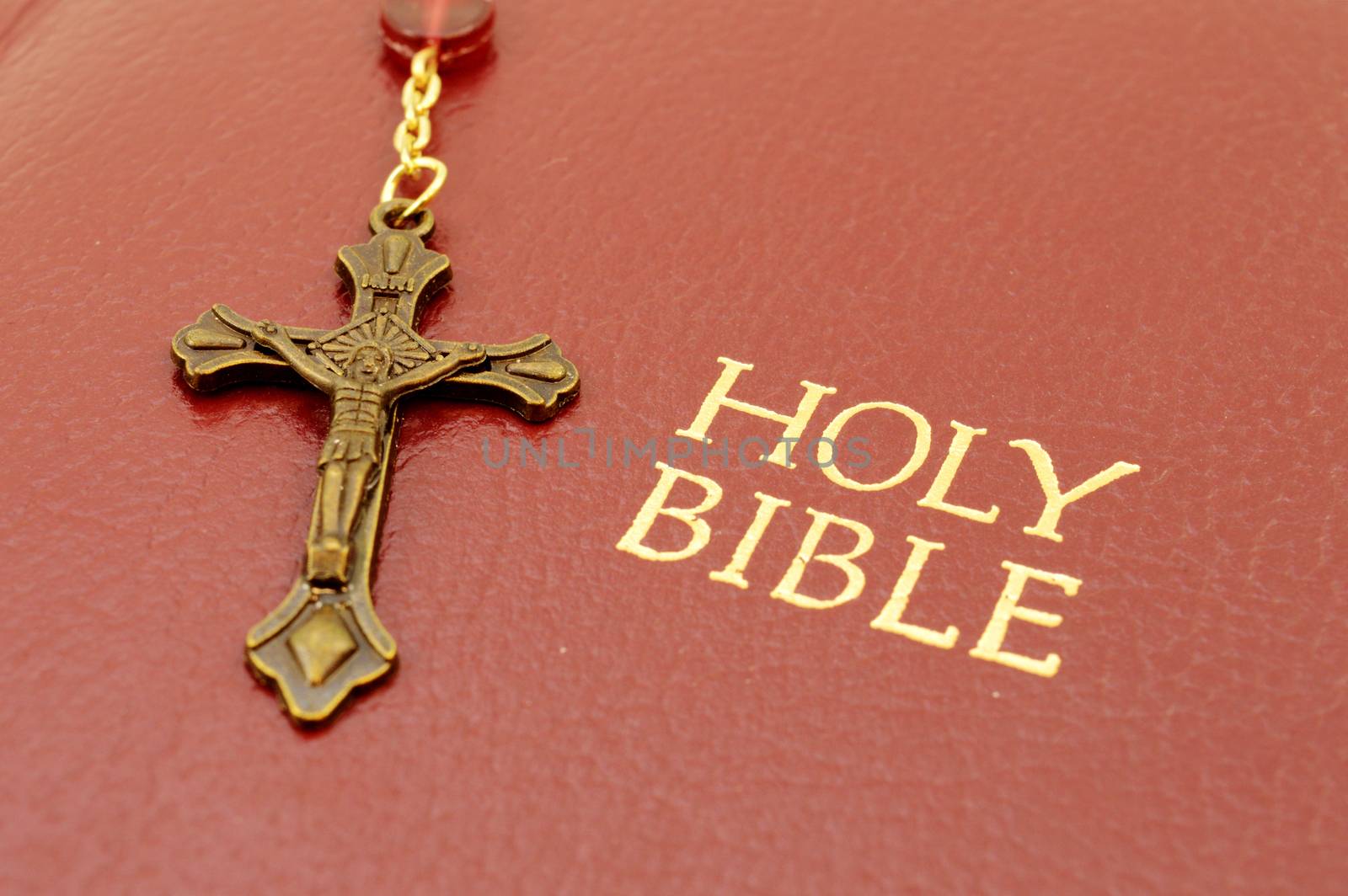 A closeup of a rosary cross and the Holy Bible book title printed in gold foil.