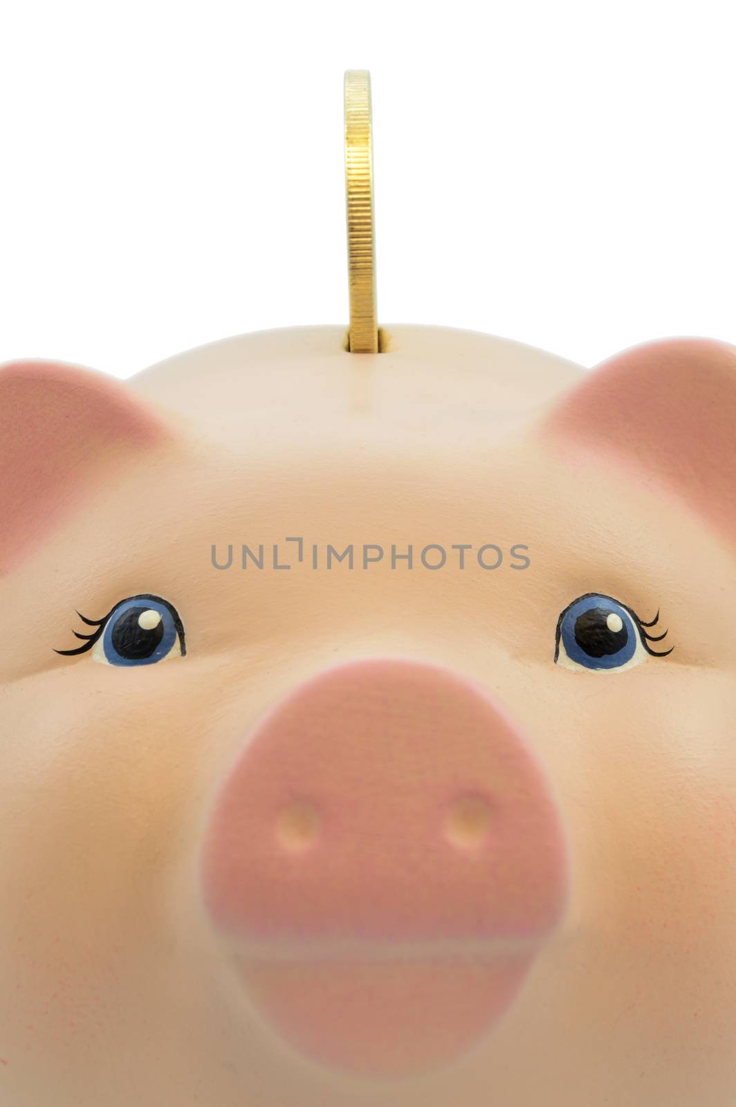 A closeup view of a coin being inserted into a pig bank over a white background.