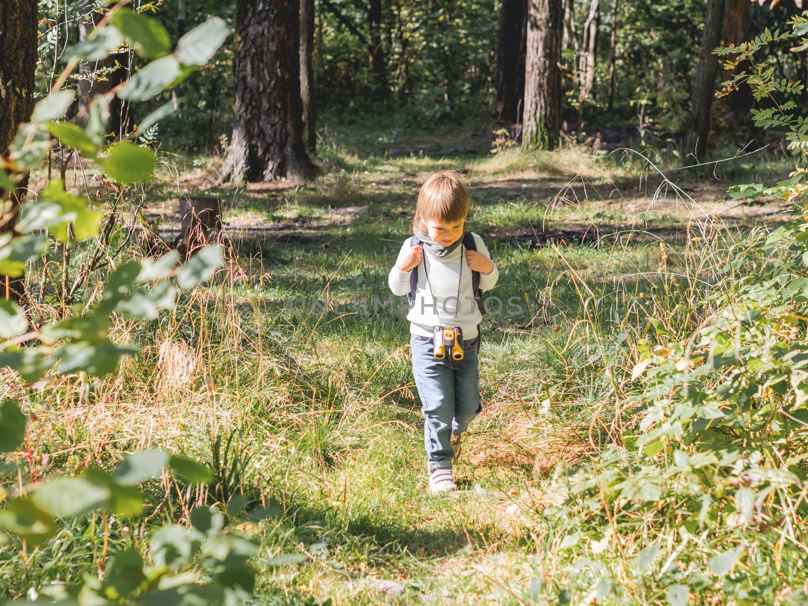 Curious boy is hiking in forest lit by sunlight. Outdoor leisure by aksenovko