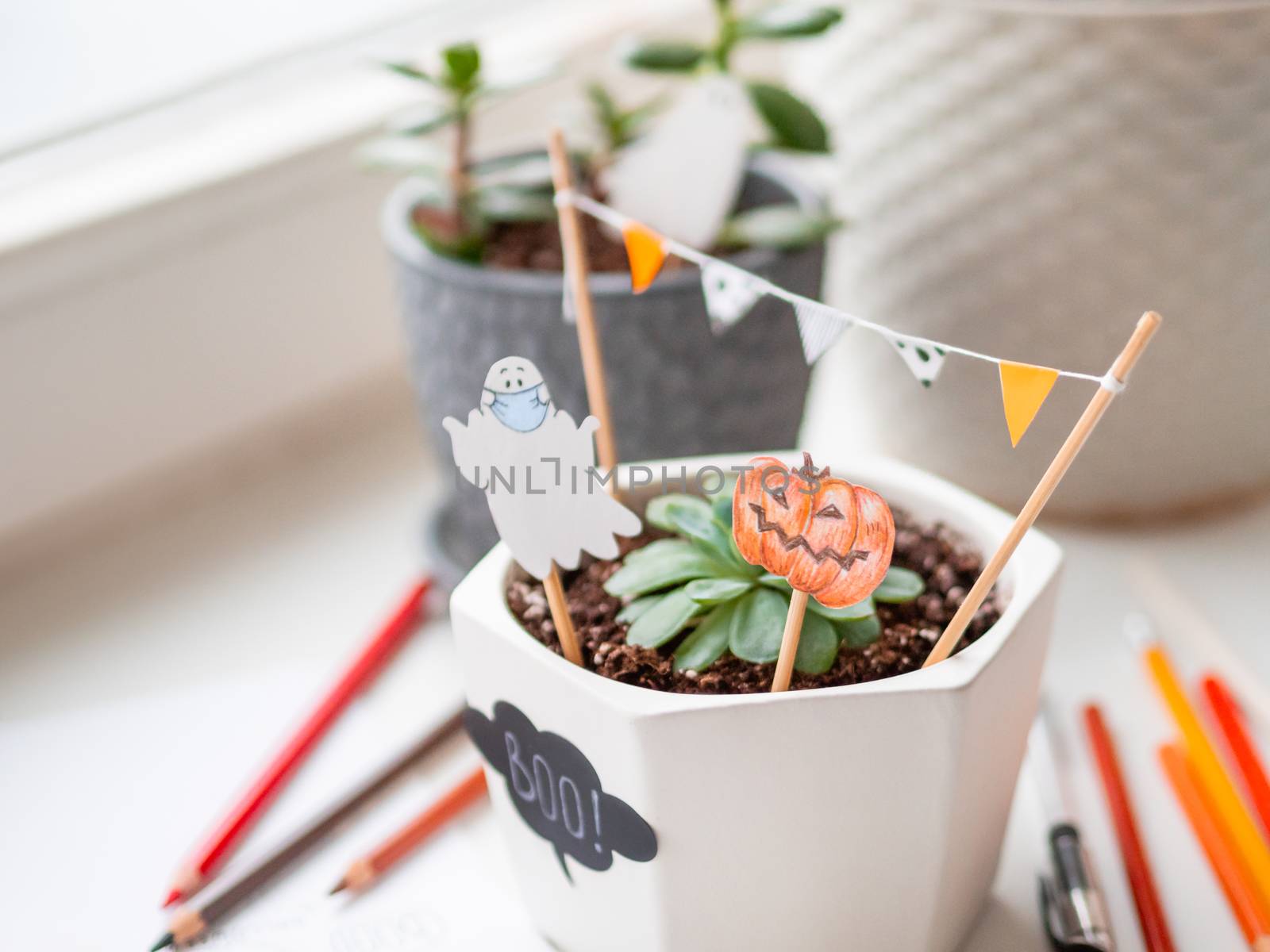 Hand drawn Halloween 2020 decorations in flower pots with crassula succulent plants. Ghost in medical protective mask and pumpkins in flower pot. Cozy home.