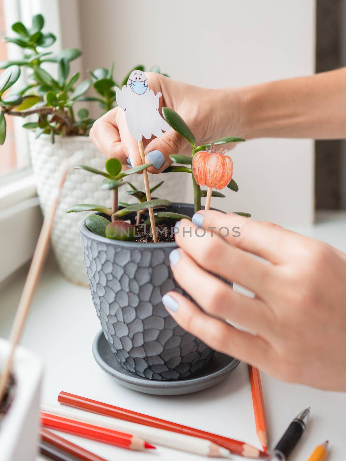 Woman decorates flower pots with handmade decorations for Halloween. Painted ghost in medical protective mask and pumpkin in flower pot with succulent plant.