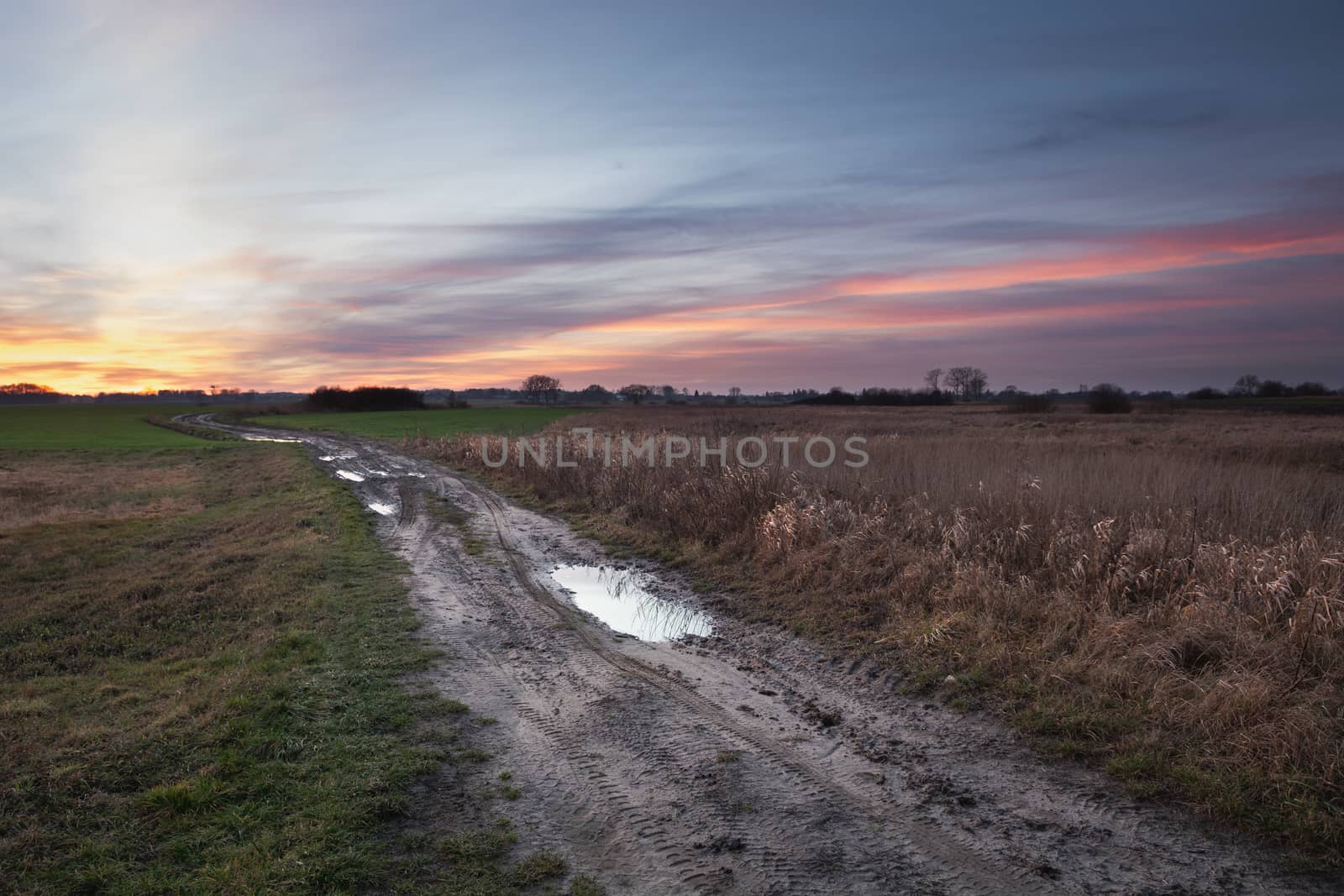 A country road through fields and a colorful sunset