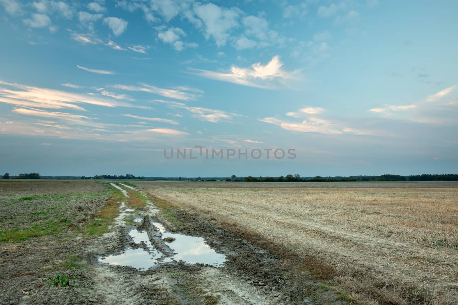 Puddle after rain on a dirt road, rural fields and evening sky