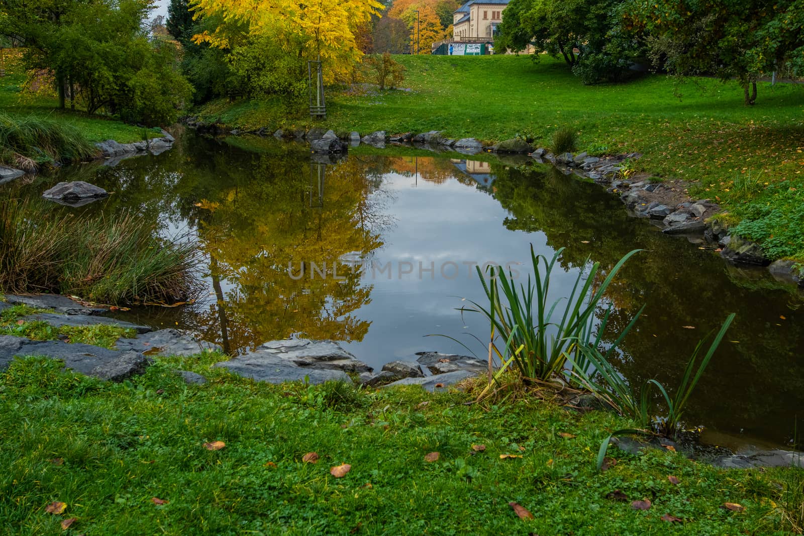 Pond in a park surrounded by beautiful colorful trees by gonzalobell