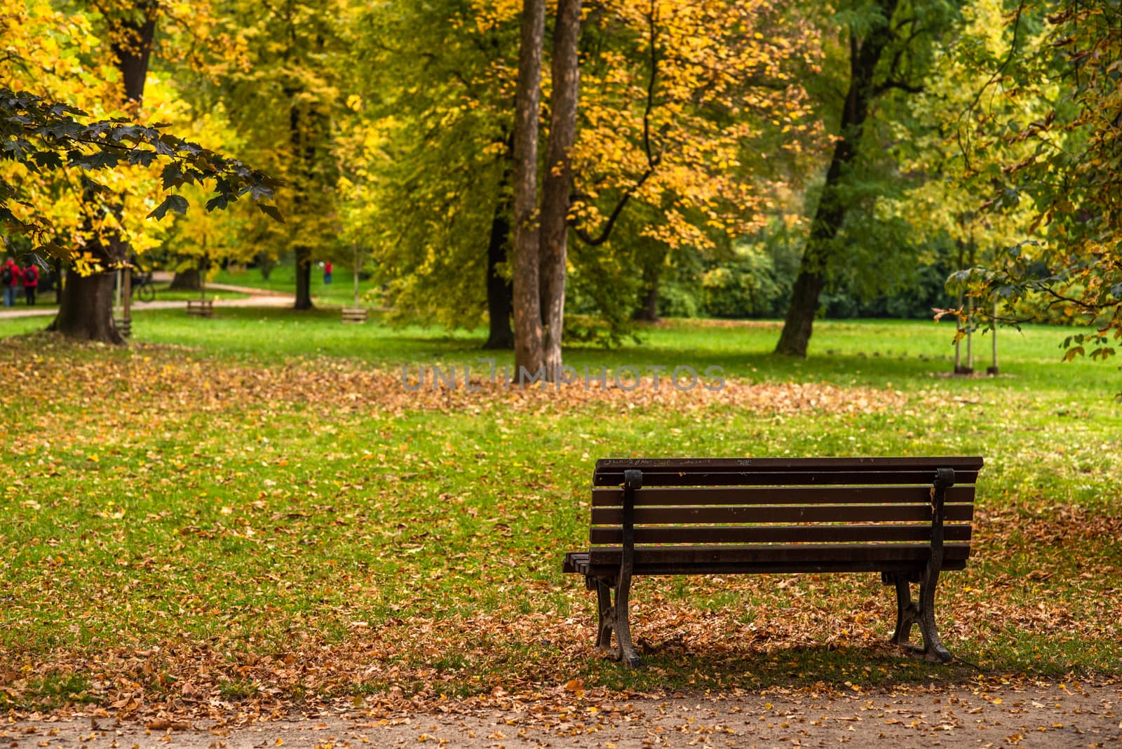 Empty wooden bench surrounded by colorful trees