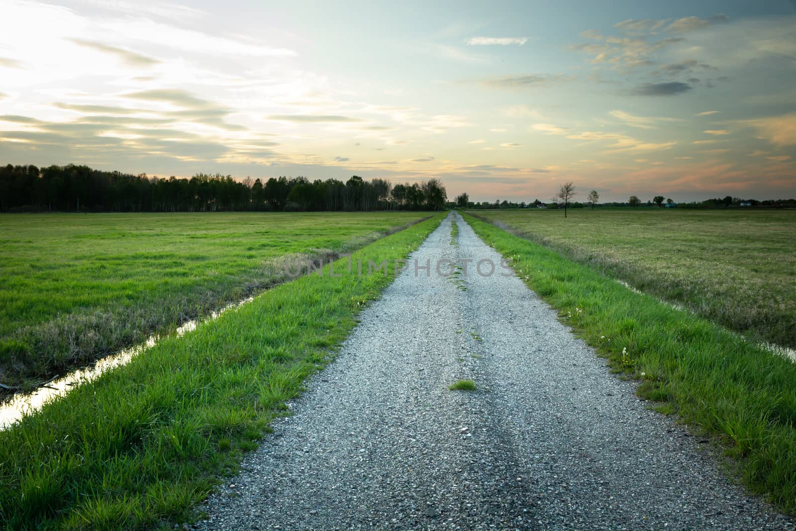 Slag road through green meadows, spring evening view