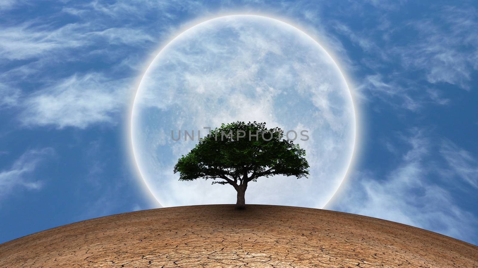 Surrealism. Green tree in arid land. Full moon in blue sky. 3D rendering