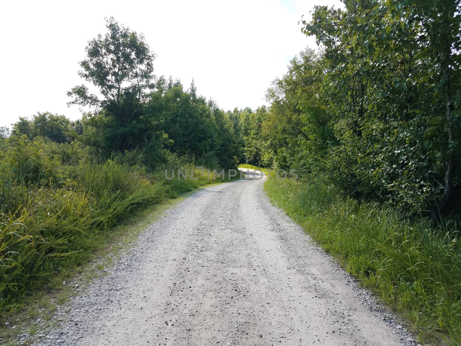 trail or path with rocks and green grass and trees by stockphotofan1