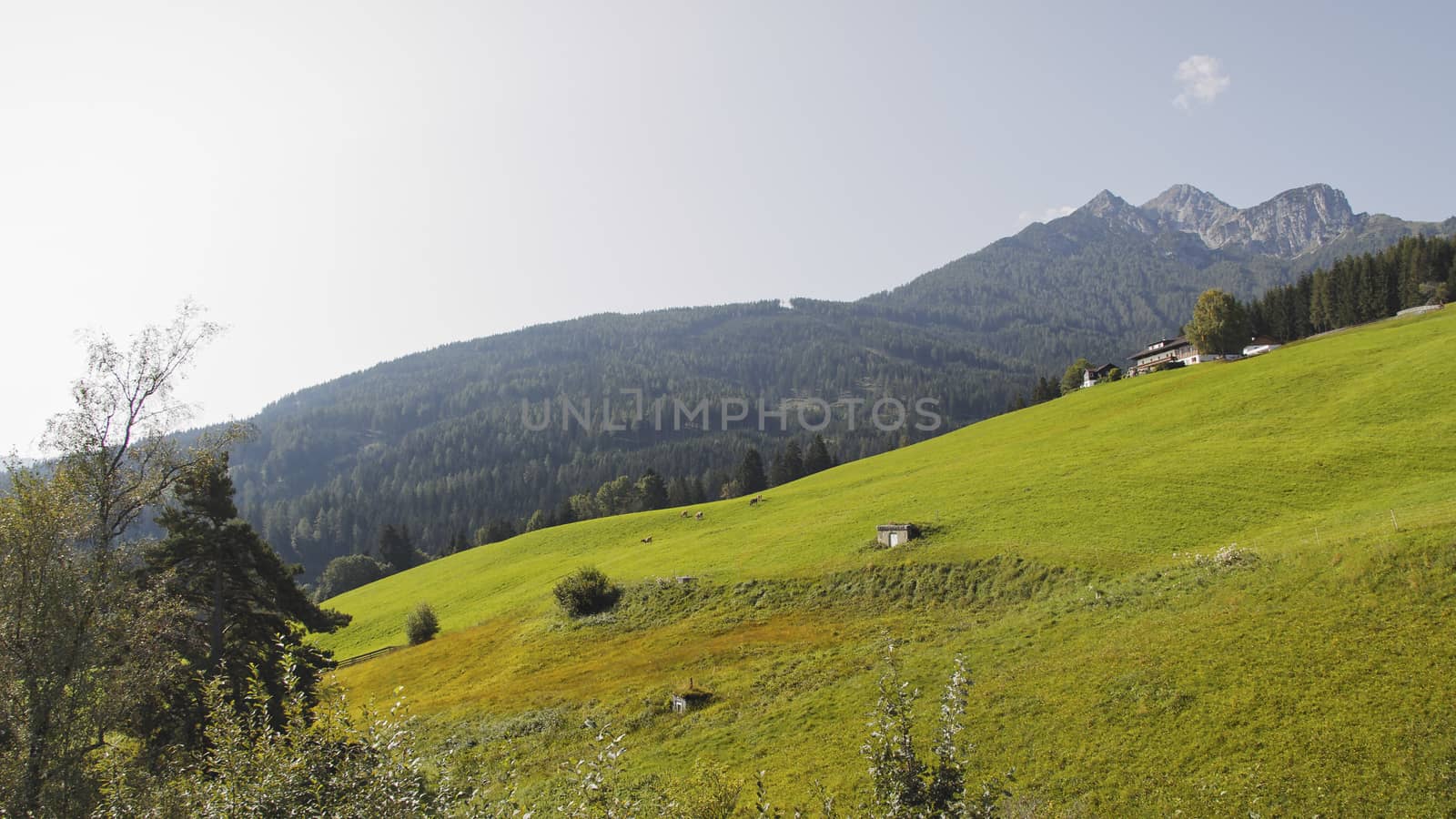 Sunny summer day with blue skies in Muttereralm, one of the mountains of the Austrian alps.