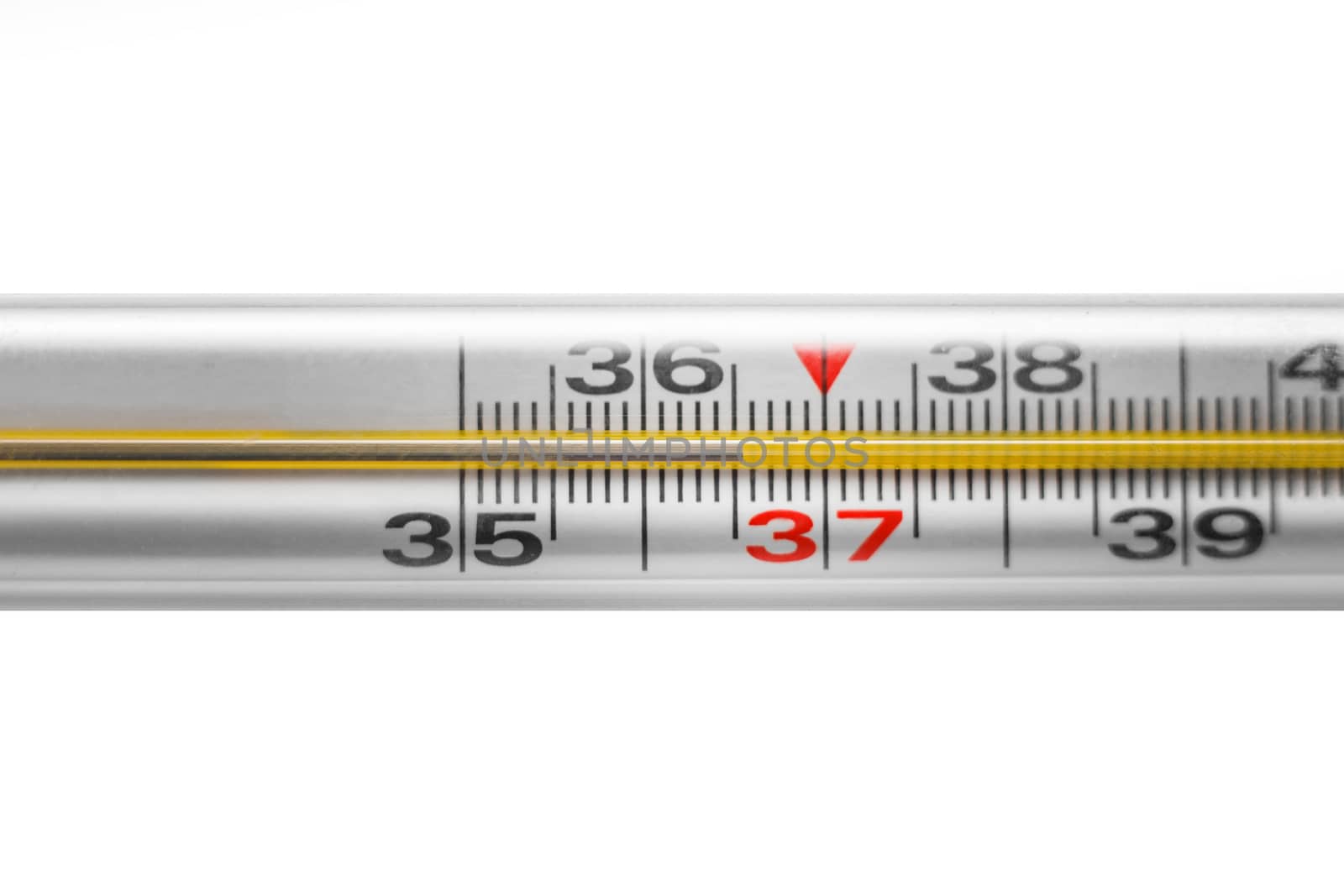 A mercury thermometer shows a normal human temperature - 36.6