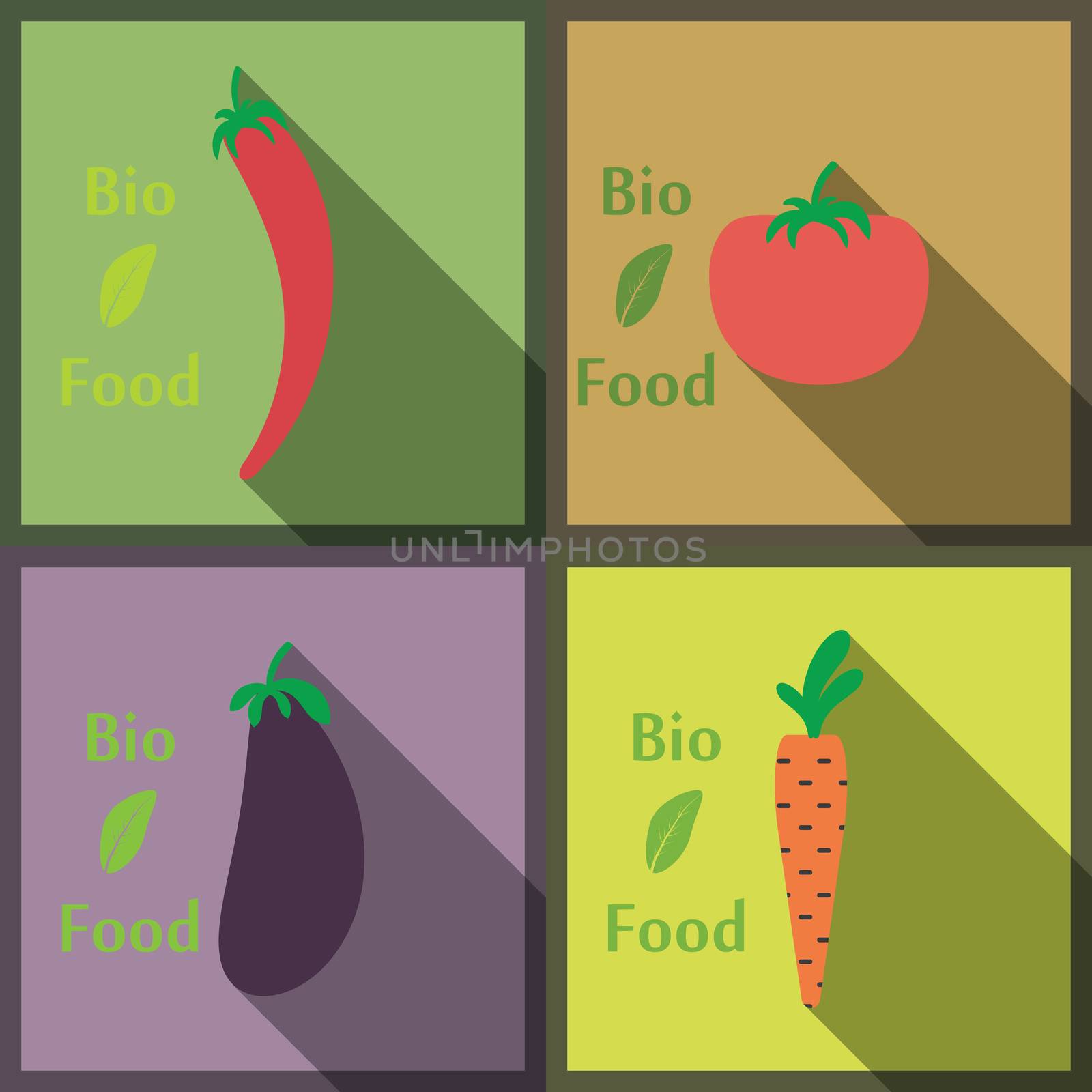Flat design modern vector illustration of Healthy and biological Food, style with long shadows.