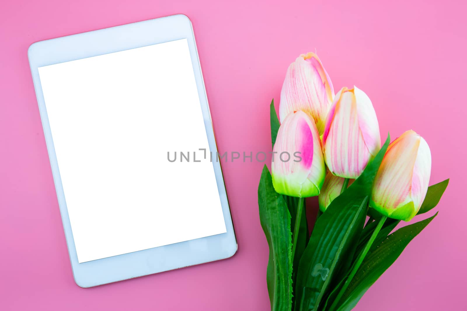 Beautiful of yellow tulip flower and tablet, with flat lay on the pink background, top view, copy space, mother day and holiday concept.