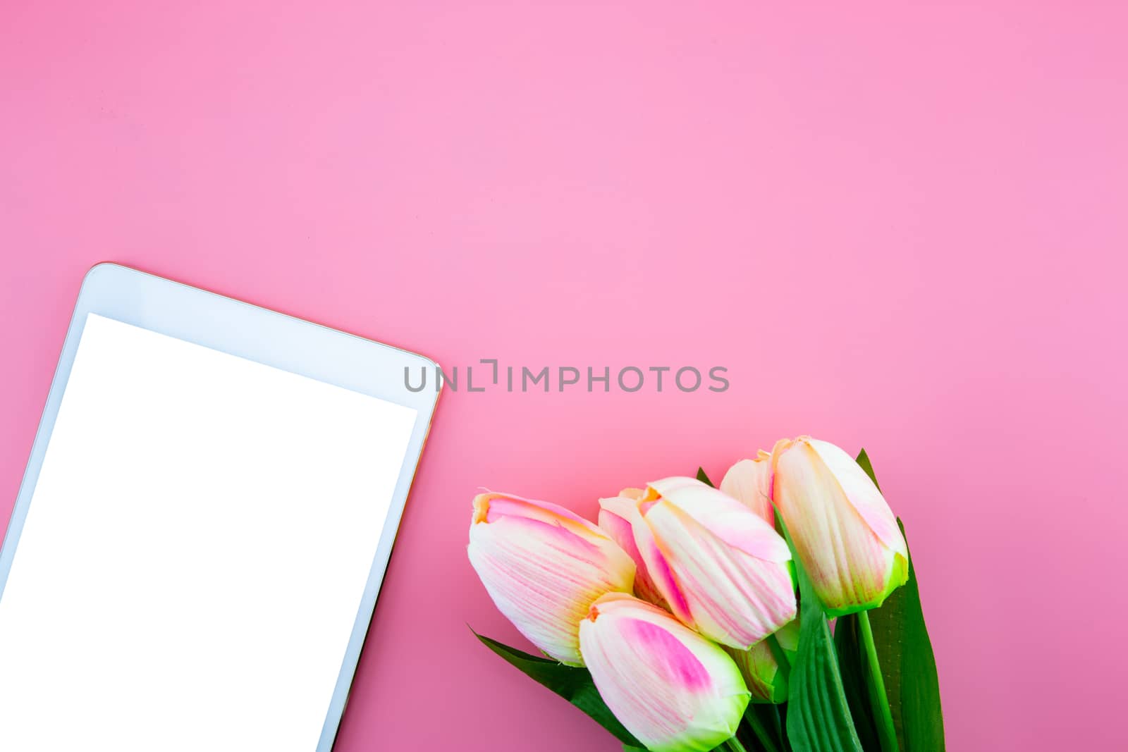 Beautiful of yellow tulip flower and tablet, with flat lay on the pink background, top view, copy space, mother day and holiday concept.