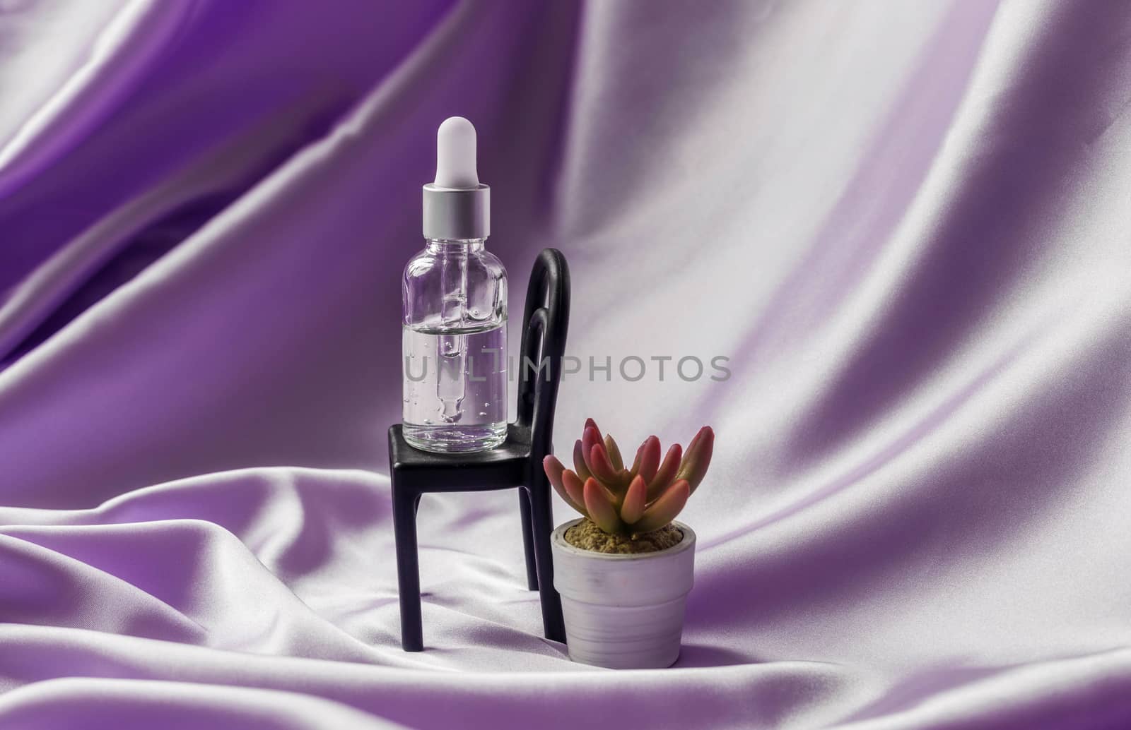 Face serum on the chair with succulent on lilac silk folded fabric background. Luxery cosmetic beauty product.