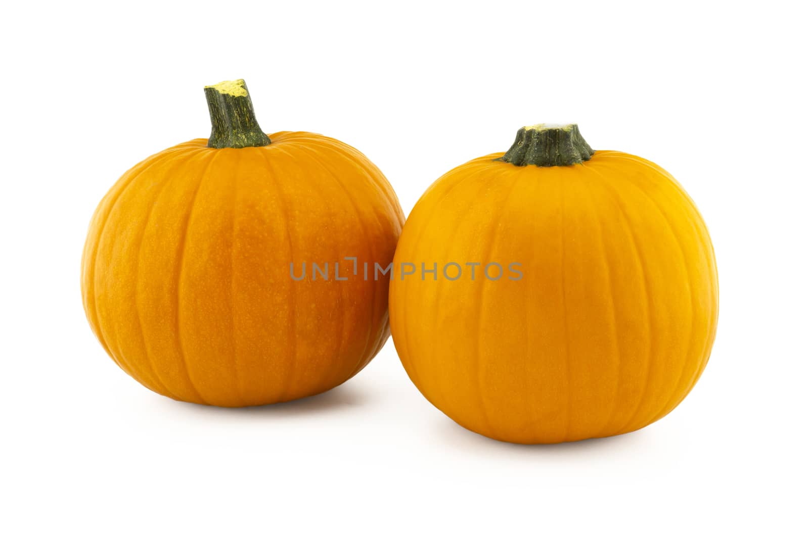 Two orange pumpkins isolated on white background