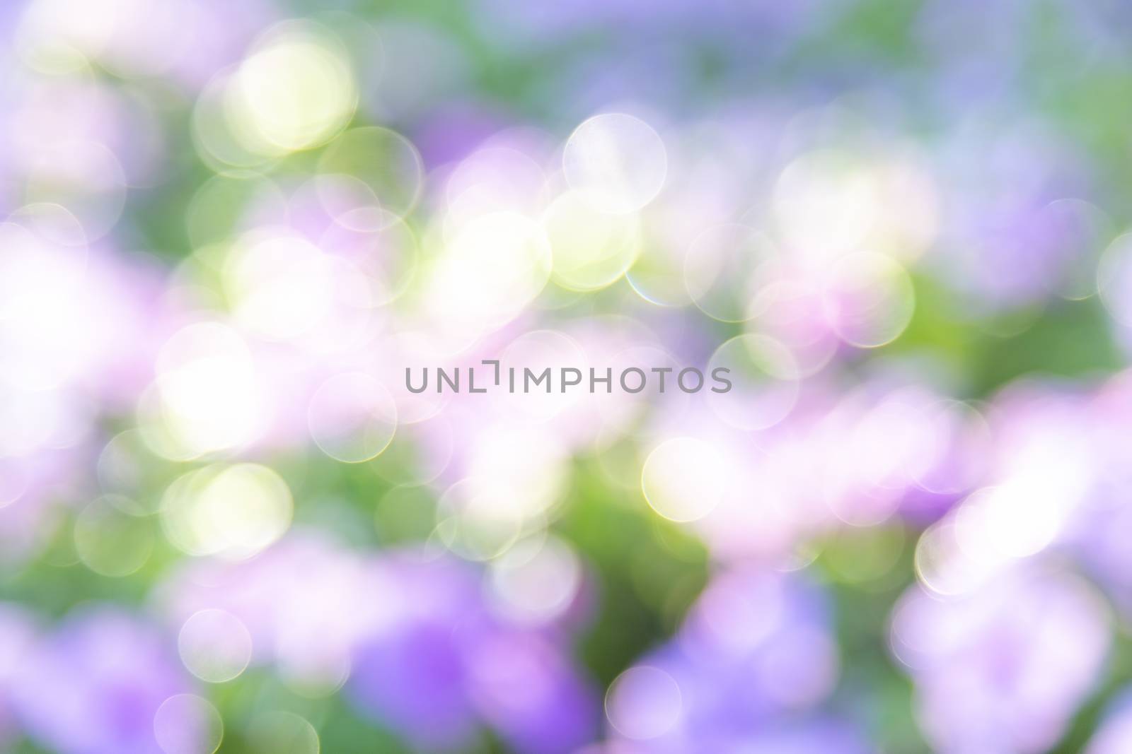 Abstract blur of nature by liewluck